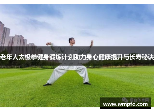 老年人太极拳健身锻炼计划助力身心健康提升与长寿秘诀